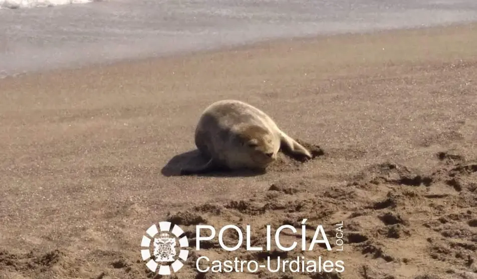 Foto: @policiadecastro