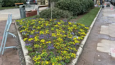Renovaci&oacute;n jardines sagrado coraz&oacute;n