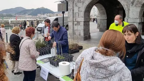 Entrega de &aacute;rboles de 2022