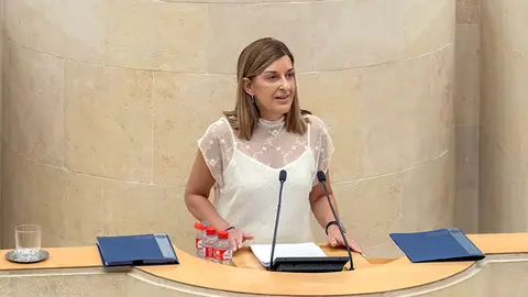 Cantabria anuncia 1.700 viviendas en Castro Urdiales y terrenos para el hospital de alta resolución