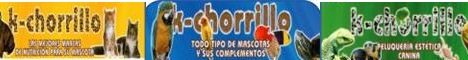 kchorrillo