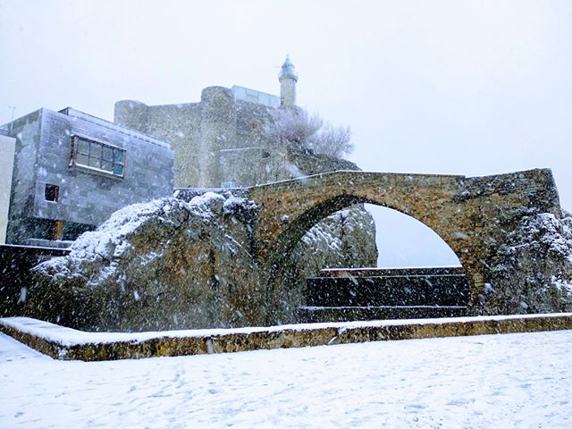 guillermoriega1