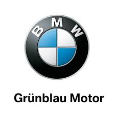 logo grunblau
