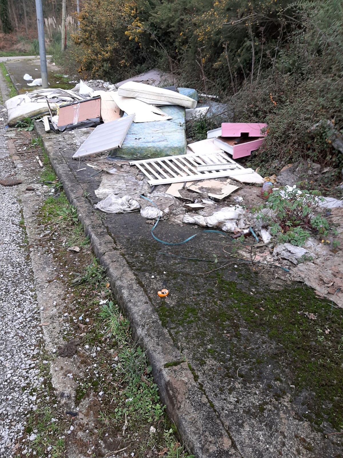 vallegon basura 2