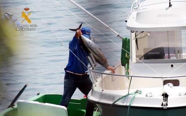 La Guardia Civil pone al descubierto pesca furtiva de bonitos en Castro Urdiales