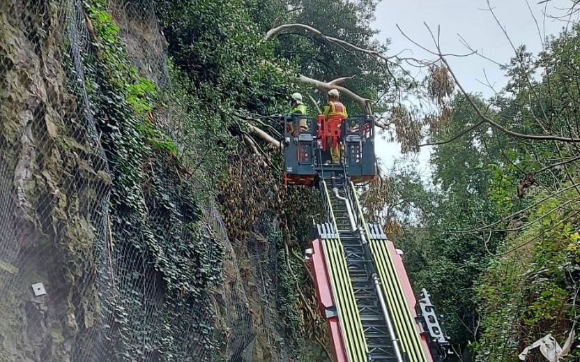 Bomberos retiran un árbol que amenazaba con caer a la vía pública junto al túnel del Vizconde