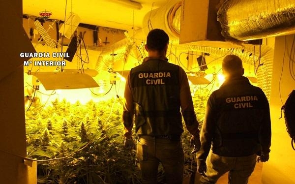 Detenidos dos varones con cerca de 500 plantas de marihuana en un chalet de Sámano (Castro Urdiales)