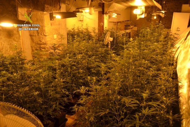 Detenido un castreño acusado de cultivar 1.600 plantas de marihuana en una plantación &quot;indoor&quot;