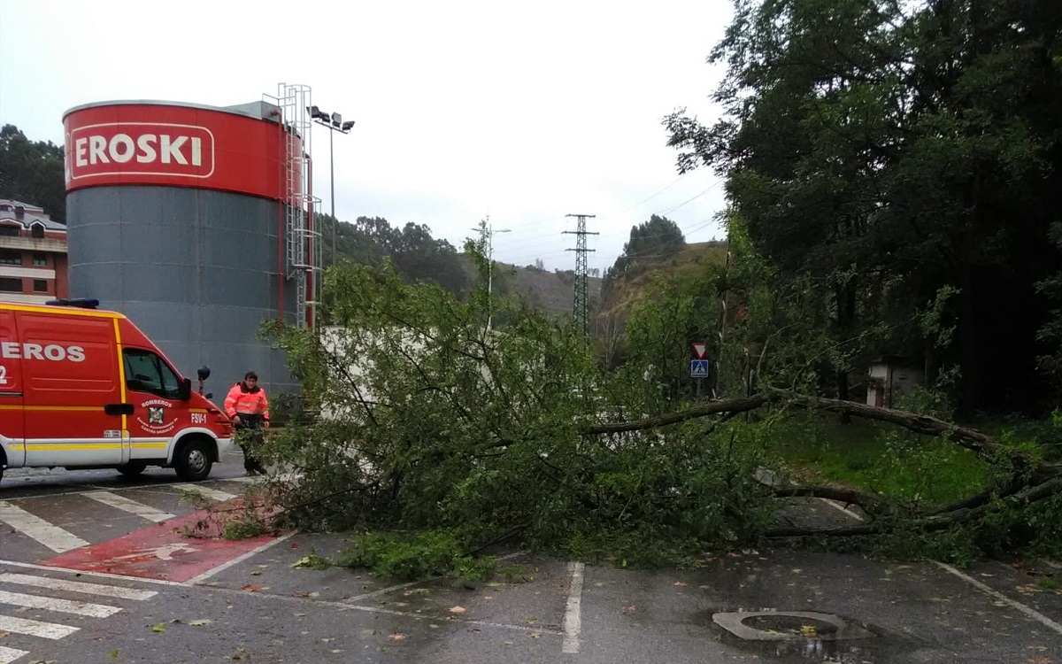 &#039;Álex&#039; derriba un árbol en el aparcamiento del Eroski de Brazomar en Castro Urdiales
