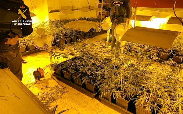 La Guardia Civil desmantela en Sonabia una plantación de marihuana e interviene cinco tipos de estupefacientes diferentes