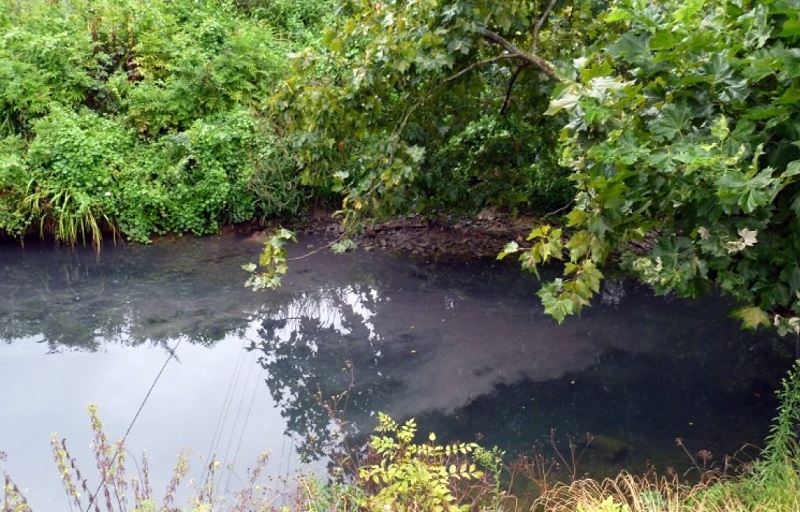 El Partido Popular solicita al ayuntamiento que pida a la Confederación Hidrográfica la limpieza los ríos castreños