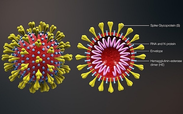 Confirmado el primer caso de coronavirus en Cantabria