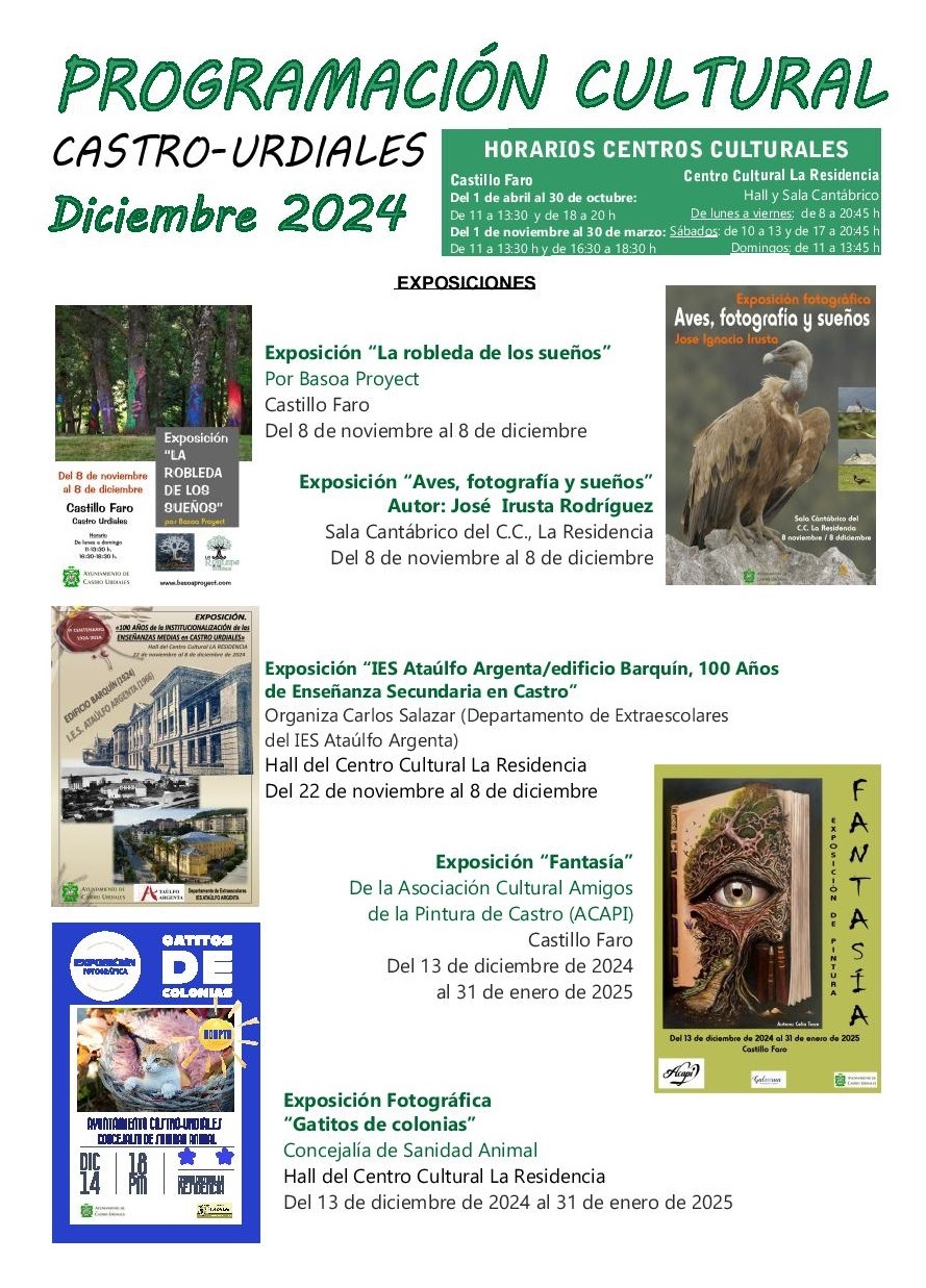 PROGRAMACIÓN DICIEMBRE 2024-page-001
