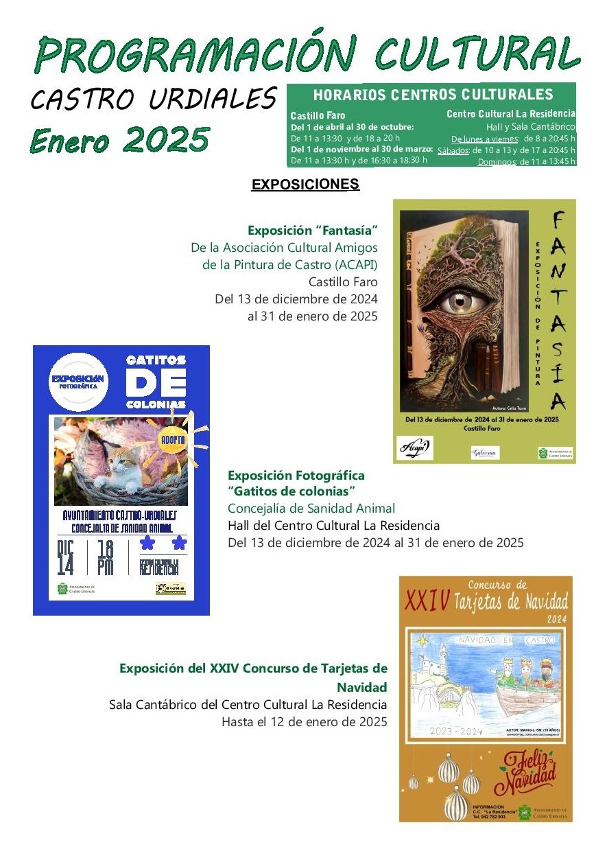 PROGRAMACIÓN ENERO 2025-page-001