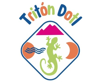 logo-triton
